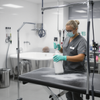 Professional Pet Grooming Salon Hygiene & Maintenance Guide