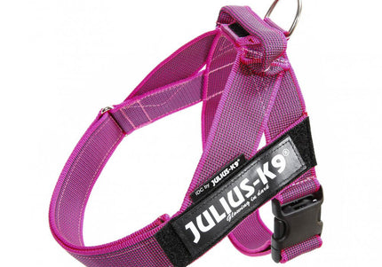 Julius-K9 IDC Color&Gray Belt Harness Pink – Fuchsia Mini-Mini, Adjustable and Durable Design