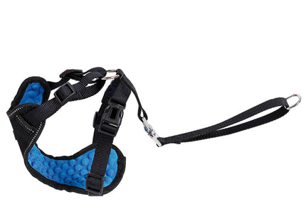 Record Car Seat Belt Set – Adjustable Dog Harness with Leash, Size L, Secure Travel Solution