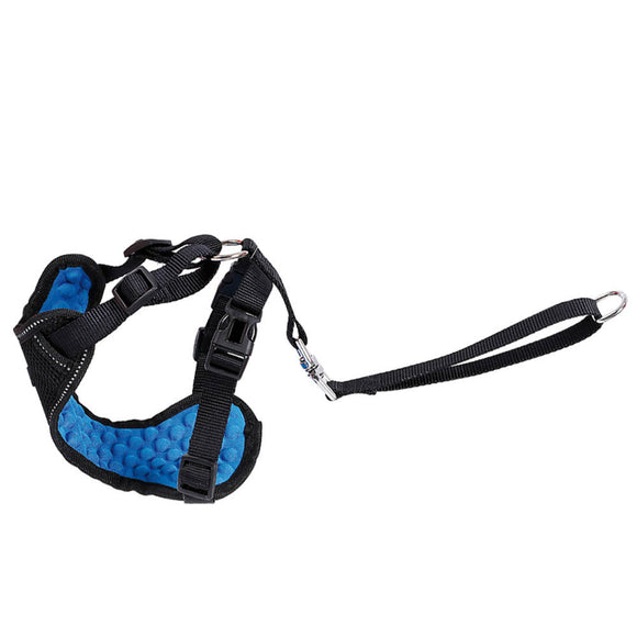 Record Car Seat Belt Set – Adjustable Dog Harness with Leash, Size L, Secure Travel Solution