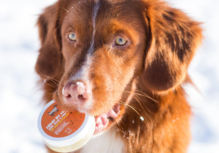 Hemp by Hownd Skin, Nose & Paw Balm 50g – Nourishing All-Season Formula with Sun Protection