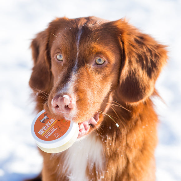 Hemp by Hownd Skin, Nose & Paw Balm 50g – Nourishing All-Season Formula with Sun Protection