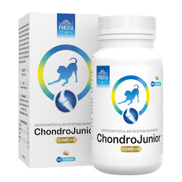 Pokusa ChondroJunior Chewable Tablets – Joint Support Formula with Calcium and Vitamins, 120 Count