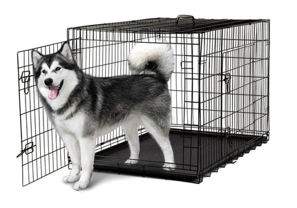 Show Tech American Cage Metal Grooming Cage 109 x 71 x 76 cm