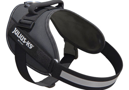 Julius-K9 IDC Powerharness Gray – Premium Adjustable Harness, Mini-Mini Size, Durable Design