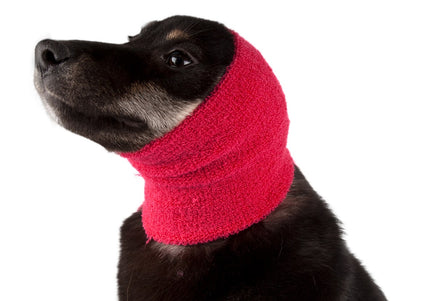 Show Tech Ear Buddy S Pink Earband – Soft Adjustable Drying Aid for Small Breeds