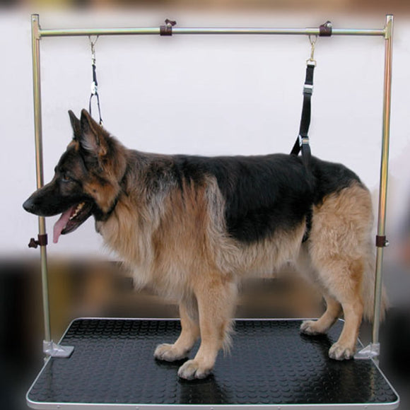 Show Tech Grooming Noose Set – Heavy-Duty Adjustable Nylon Leashes, 2.5cm Wide, 3 Pack