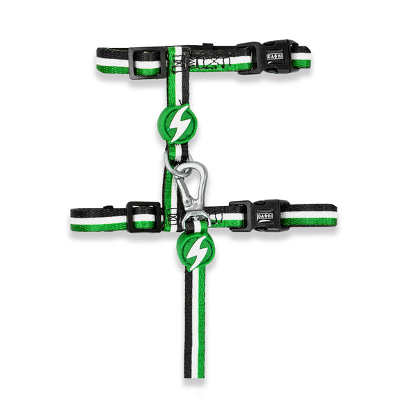 Dashi Stripes Green & Black Cat Harness and Leash Set – Adjustable, Comfortable Design