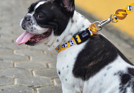 Dashi Snooze Collar – Small Size Dog Collar with Panda Pattern, Soft and Durable Design