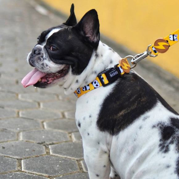 Dashi Snooze Collar – Small Size Dog Collar with Panda Pattern, Soft and Durable Design