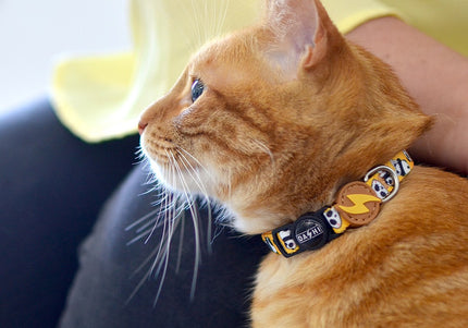 Dashi Snooze Cat Collar – Soft Adjustable Collar with Cute Panda Pattern Design