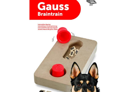 Flamingo Braintrain Gauss Mini Intelligence Toy – Interactive Puzzle, 22x12cm, Durable Design
