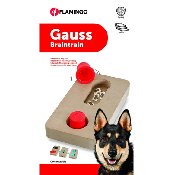 Flamingo Braintrain Gauss Mini Intelligence Toy – Interactive Puzzle, 22x12cm, Durable Design