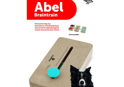 Flamingo Braintrain Abel Mini Intelligence Toy – Interactive Puzzle, 22x12cm, Durable Design