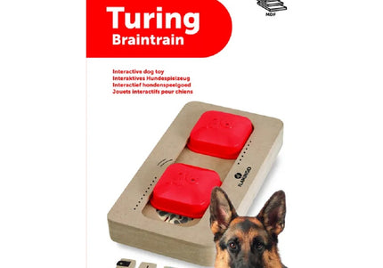 Flamingo Braintrain Turing Mini Intelligence Toy – Interactive Puzzle, 22x12cm Durable Design