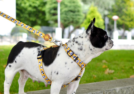 Dashi Snooze Back Harness – Adjustable Guard Harness with Panda Pattern, Extra Small Size