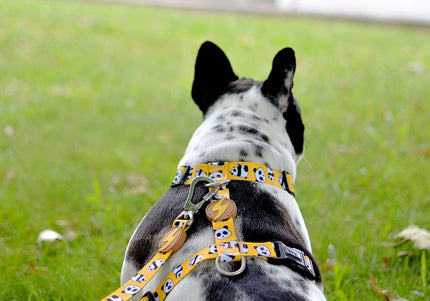 Dashi Snooze Back Harness – Adjustable Guard Harness with Panda Pattern, Extra Small Size
