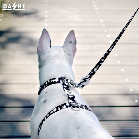 Dashi Astronaut Back Harness – Adjustable Space Pattern Dog Harness, Extra Small Size