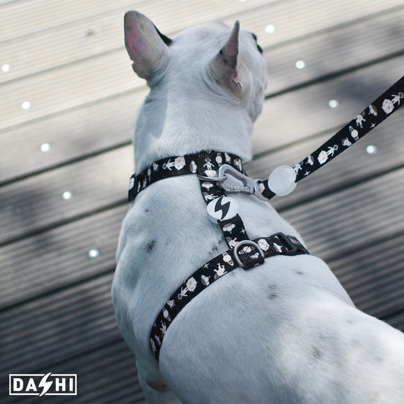 Dashi Astronaut Back Harness – Adjustable Space Pattern Dog Harness, Extra Small Size