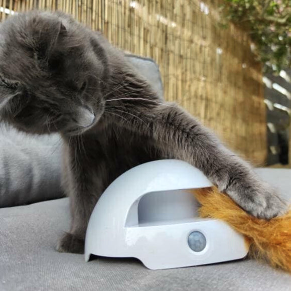 PetSafe Fox Den Automatic Cat Teaser – Interactive Motion Toy with Realistic Fox Tail