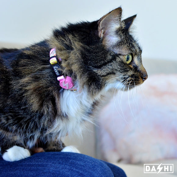 Dashi Donut Cat Collar – Colorful Adjustable Collar with Fun Donut Pattern, Soft Material