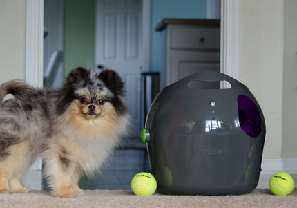 PetSafe Automatic Ball Launcher – Motion Sensor, Interactive Play Device for Pets