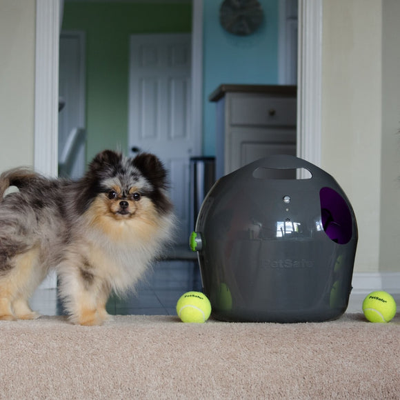 PetSafe Automatic Ball Launcher – Motion Sensor, Interactive Play Device for Pets