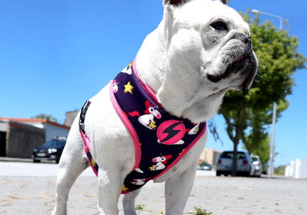 Dashi Unicorn Neo Mesh Harness – Double-Sided Neoprene, Pressure-Free Design, Unicorn Pattern, Small Size