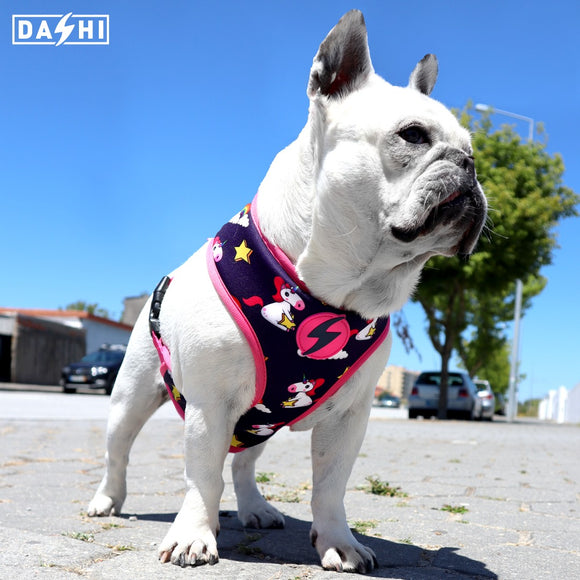 Dashi Unicorn Neo Mesh Harness – Double-Sided Neoprene, Pressure-Free Design, Unicorn Pattern, Small Size