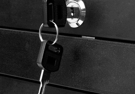 Gabbiano 100C Grooming Salon Cabinet – Lockable Mobile Storage, 15 Compartments, 4 Litter Boxes, Black