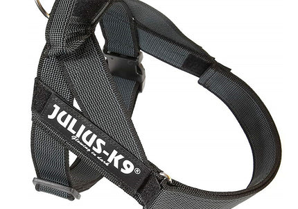 Julius-K9 IDC Color&Gray Belt Harness – Adjustable Black Mini Harness with Durable Webbing