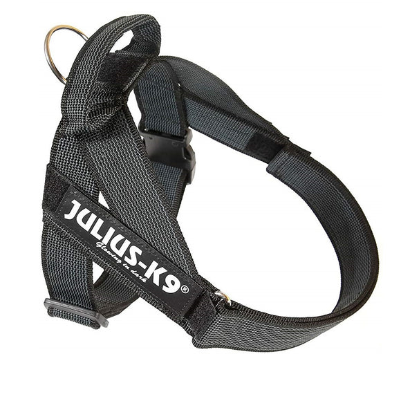 Julius-K9 IDC Color&Gray Belt Harness – Adjustable Black Mini Harness with Durable Webbing