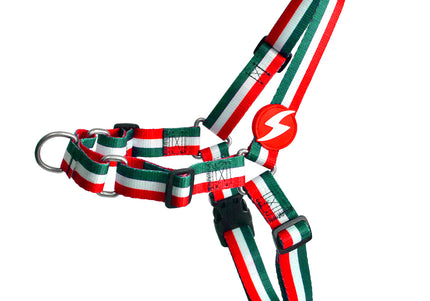 Dashi Stripes Green & Red Front Harness – No-Pull Norwegian Dog Harness, Large, Durable Design