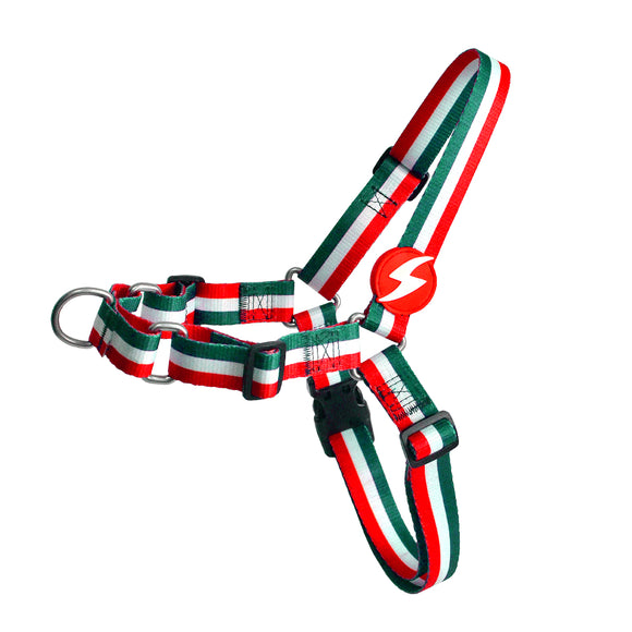 Dashi Stripes Green & Red Front Harness – No-Pull Norwegian Dog Harness, Large, Durable Design