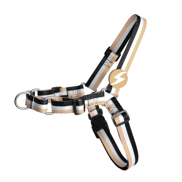 Dashi Stripes Brown & Black Front Harness – No-Pull Norwegian Design, Small Size, Durable Striped Fabric