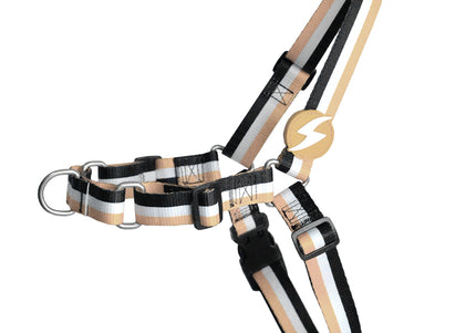 Dashi Stripes Brown & Black Front Harness – No-Pull Norwegian Design, Small Size, Durable Striped Fabric