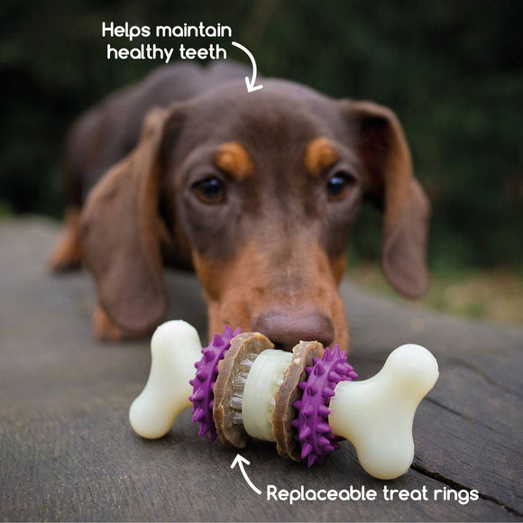 PetSafe Busy Buddy Bristle Bone Chew Toy – Small Size, Teeth Cleaning Design with Treat