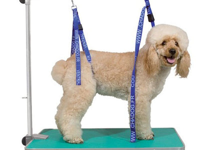 Chadog Adjustable Rear Grooming Leash – Secure Fit, 1.5 cm Wide Nylon Strap