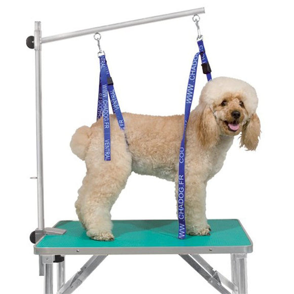 Chadog Adjustable Rear Grooming Leash – Secure Fit, 1.5 cm Wide Nylon Strap