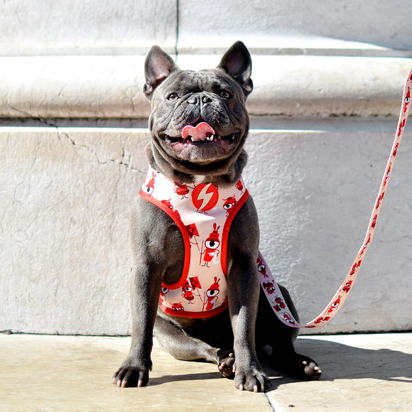 Dashi Tribes Neo Mesh Harness – Pressure-Free Double-Sided Neoprene, Brave Creature Pattern, XL Size
