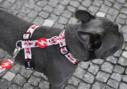 Dashi Tribes Back Harness – Adjustable Medium Harness with Brave Creatures Pattern, Secure Fit