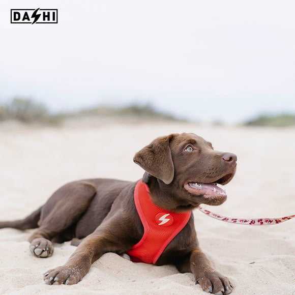 Dashi Tribes Neo Mesh Harness – Pressure-Free Double-Sided Neoprene, Brave Creature Pattern, XL Size