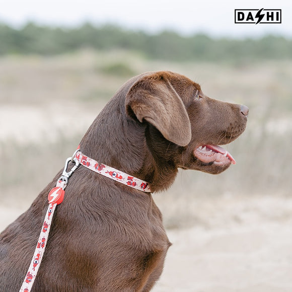 Dashi Tribes Collar – Colorful Patterned Dog Collar with Brave Creatures, Size Small