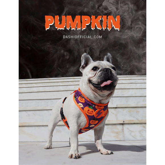 Dashi Pumpkin Neo Mesh Harness – Pressure-Free Double-Sided Mesh, Halloween Pumpkin Pattern, XL