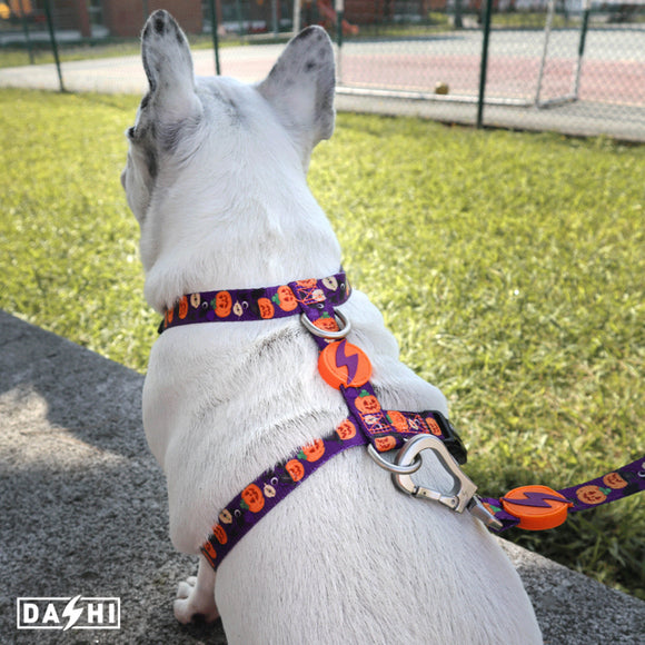 Dashi Pumpkin Back Harness – Adjustable Guard Harness with Halloween Pumpkin Pattern, Size S