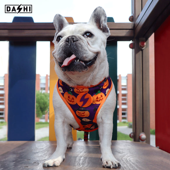 Dashi Pumpkin Neo Mesh Harness – Pressure-Free Double-Sided Mesh, Halloween Pumpkin Pattern, XL