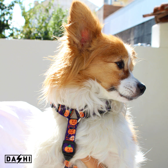 Dashi Pumpkin Back Harness – Adjustable Guard Harness with Halloween Pumpkin Pattern, Size S