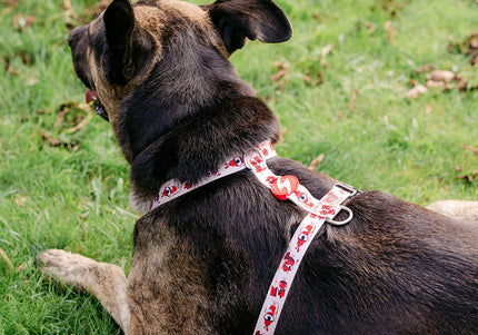 Dashi Tribes Back Harness – Adjustable Medium Harness with Brave Creatures Pattern, Secure Fit