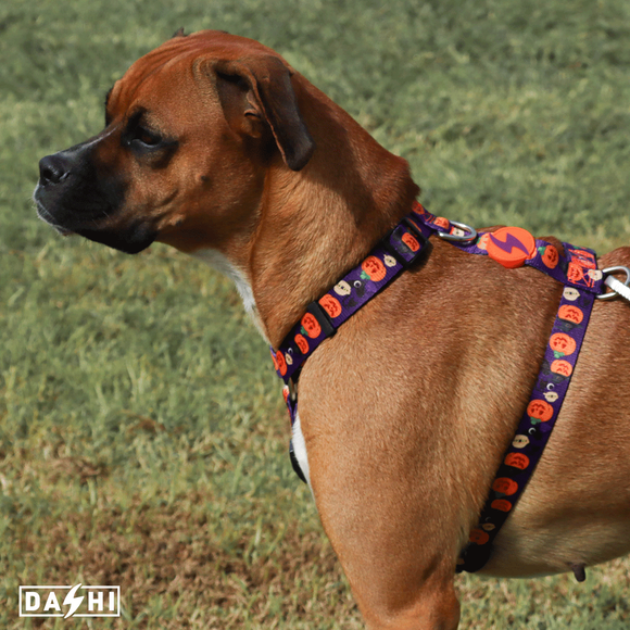 Dashi Pumpkin Back Harness – Adjustable Guard Harness with Halloween Pumpkin Pattern, Size S
