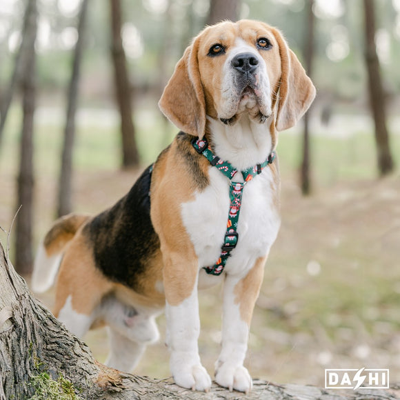 Dashi Noel Back Harness – Christmas Santa Claus Design, Adjustable, Size Small